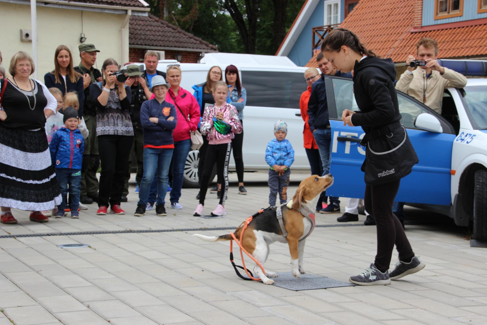 Kuuleka koera päev 2019